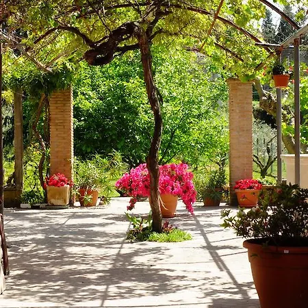 Bed & Breakfast L'upupa Palestrina