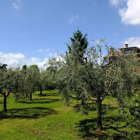 L'upupa