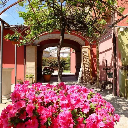 Bed & Breakfast L'upupa Palestrina