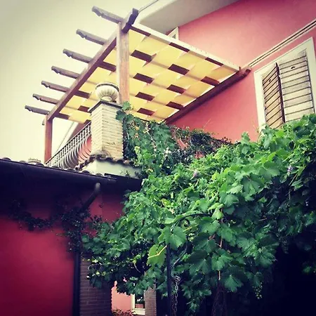 L'upupa 3* Palestrina